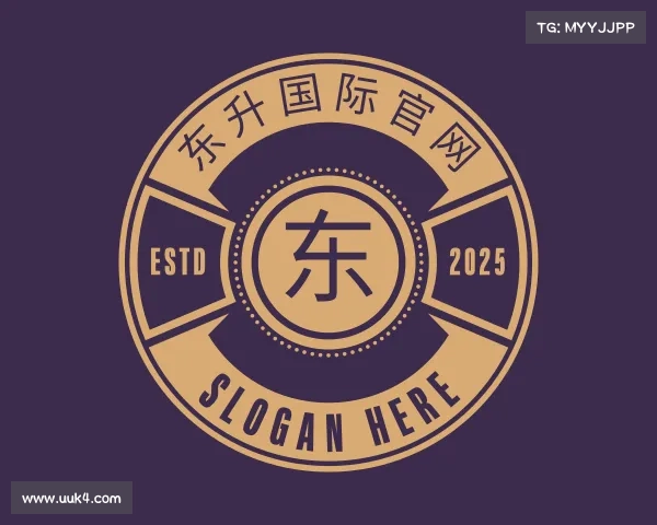 介绍东升国际官网